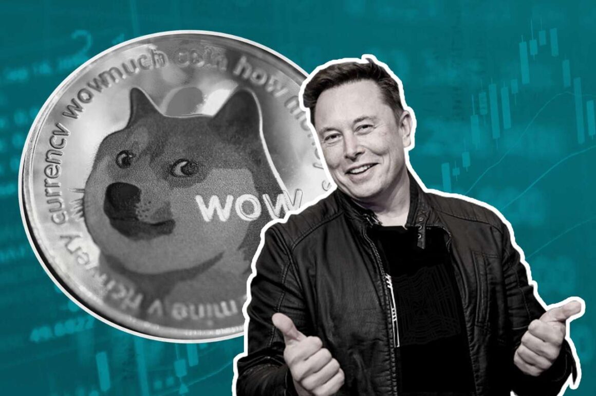 Impact of musk on Doge and cypto